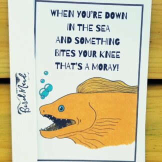 That's A Moray