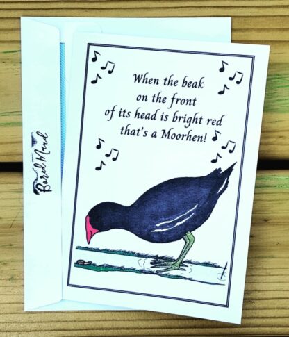 Moorhen
