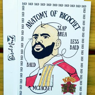 Anatomy of Ricochet
